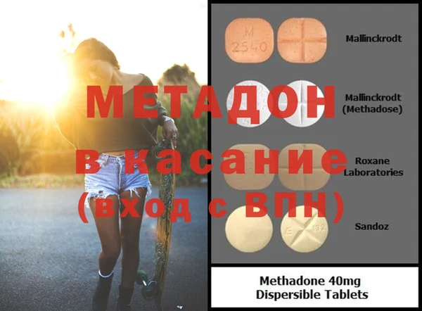 прущие грибы Михайловка