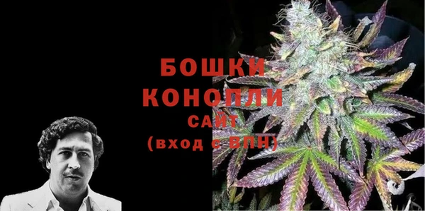 прущие грибы Михайловка