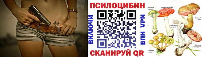 гидра онион  Звенигово  Псилоцибиновые грибы прущие грибы 